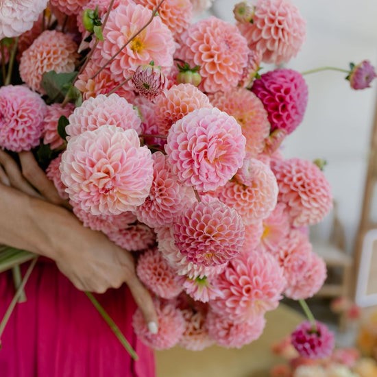 FLOWER FARMS