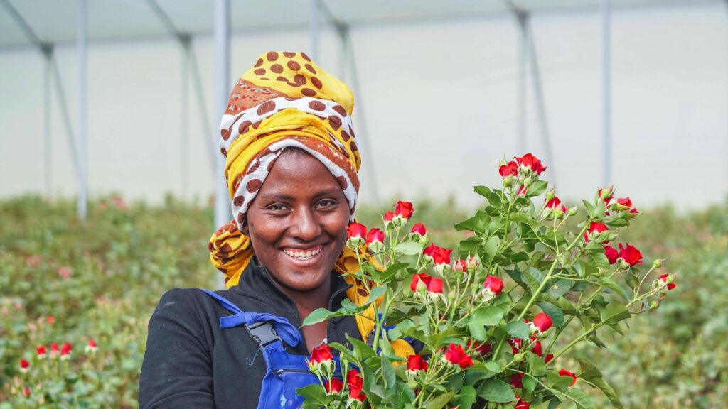 FLOWER FARMS